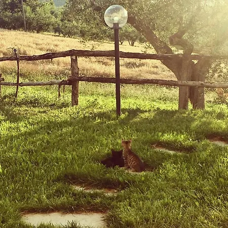 La Goiaba Bed & Breakfast