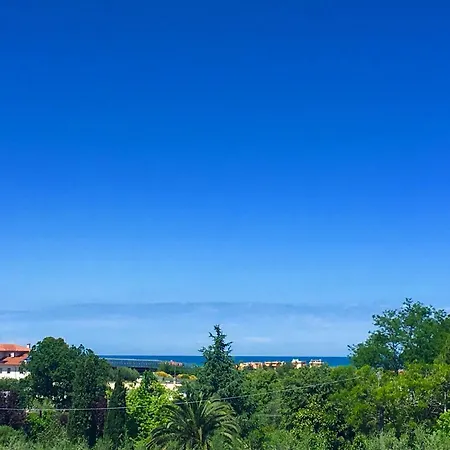 La Goiaba 4* Senigallia