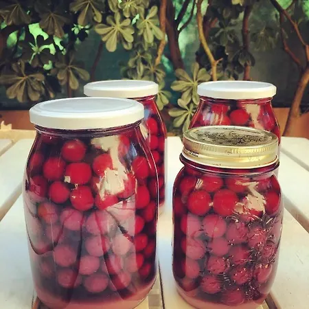 Bed & Breakfast La Goiaba