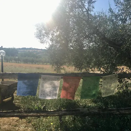 住宿加早餐酒店 La Goiaba