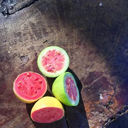 La Goiaba Oda ve Kahvaltı 4*