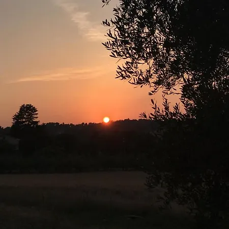 La Goiaba Oda ve Kahvaltı