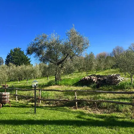 Oda ve Kahvaltı La Goiaba Senigallia