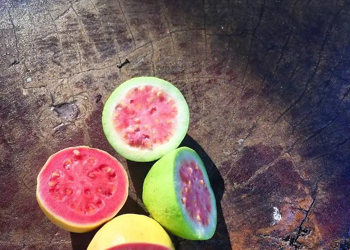 La Goiaba Couette-café 4*