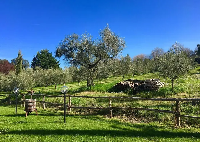 Bed & Breakfast La Goiaba Senigallia